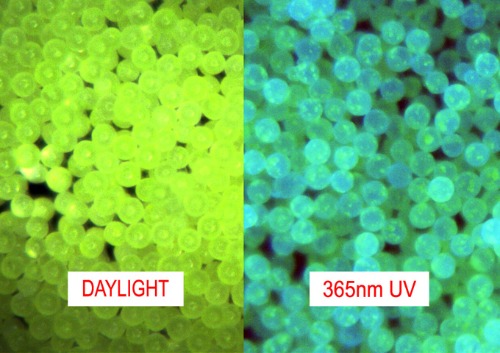 Fluorescent Polyethylene Microspheres - Yellow in Daylight, Blue-Green in UV Light 0.98g/cc - 27um to 300um