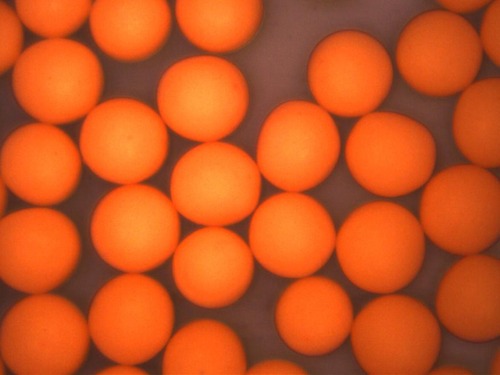 Orange Polyethylene Microspheres 1.00, 1.015g/cc - 20um to 1200um (1.2mm)