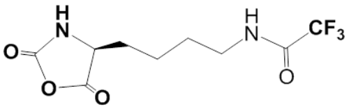 N6-Trifluoroacetyl-L-lysine NCA