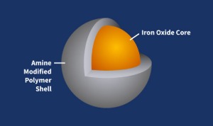 Amine Iron Oxide Nanoparticles