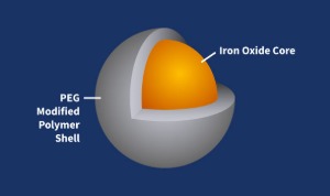 Azide Iron Oxide Nanoparticles