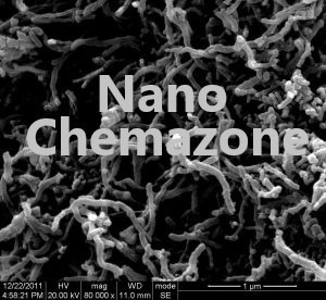 Functionalized Short MWCNT-Multi Walled Carbon Nanotubes