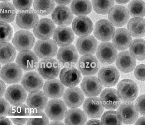 PEG Modified Upconverting Nanoparticles