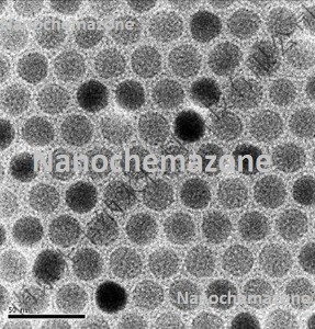 Oil Dispersible Upconverting Nanoparticles