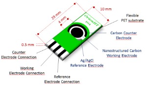 Nanostructured Carbon Screen Printed Electrodes