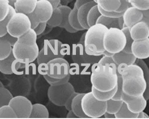 Calcium Carbonate Silica Core Shell Nanoparticles