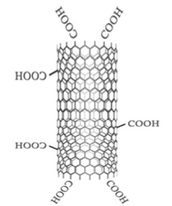 Functionalized MWCNT-Multi Walled Carbon Nanotubes