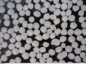 Clear Polyethylene Particles 0.96g/cc - 600um (0.6mm) - 2800um (2.8mm)
