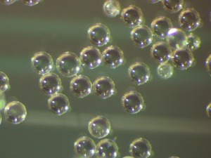 Polystyrene Microspheres, Crosslinked, 1.07g/cc - 9.5um and 105um
