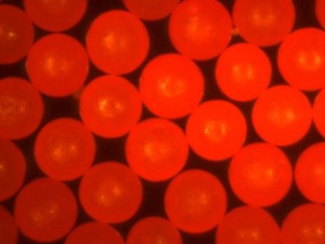 Fluorescent Red Polyethylene Microspheres 1.090g/cc - 20um to 500um (0.5mm)