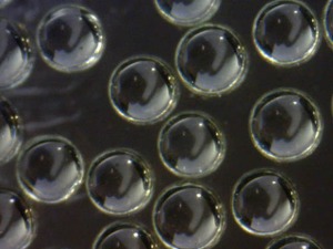 Barium Titanate Solid Glass Microspheres 4.1-4.4g/cc - 5um to 1000um (1mm)