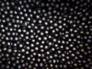 Black Paramagnetic Polyethylene Microspheres 1.2g/cc - 10um to 1400um (1.4mm)