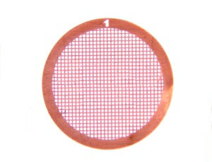 Square hole carrier net (imported)