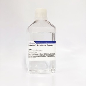 MAXgene® GMP Transfection Reagent