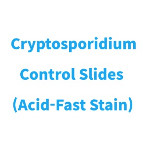 Cryptosporidium Control Slides (Acid-Fast Stain)