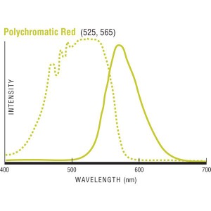 Fluoresbrite® Polychromatic Red Microspheres 0.5µm