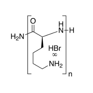 Poly(l-lysine hydrobromide) [MW 120,000]