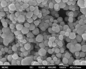 Silver Nanoparticles (65nm)