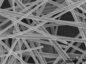 Silver Nanowires (70nm×50µm)