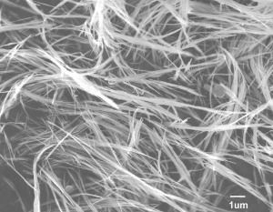 Iron Oxyhydroxide Nanowires (50nm×10µm)