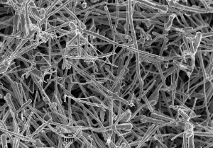 Copper Nanowires (150nm×5µm)