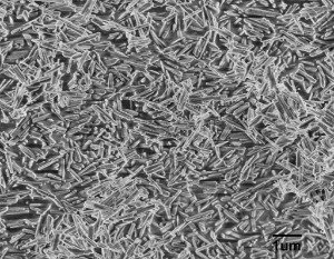Hydroxylapatite (HAP) Nanowires (100nm×700nm)