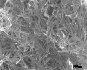 Silica Nanowires (10nm×200nm)