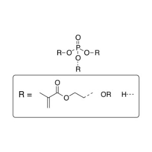 2-(methacryloxy)ethyl phosphate