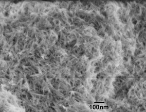 Iron Oxyhydroxide Nanowires (10nm×150nm)