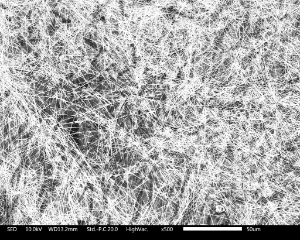 Silver Nanowires (120nm×75µm)