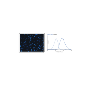 StarLight™ Calibration Slide - Glacial Blue