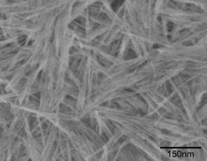 Aluminum Oxide Nanowires (10nm×150nm)