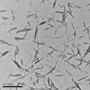 Cellulose Nanocrystals (CNC)