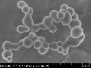 Silicon Nanoparticles (40nm)