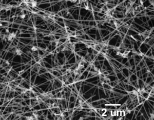 Silicon Carbide Nanowires (350nm×100µm)
