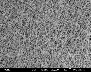 Silver Nanowires (70nm×150µm)