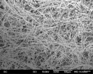 Nickel Nanowires (200nm×200µm)