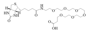 Biotin-PEG6-COOH