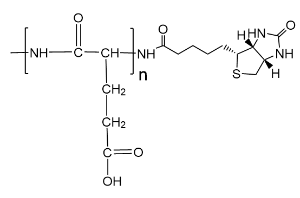 Biotin-poly-L-Glutamic acid/Biotin-pGlu