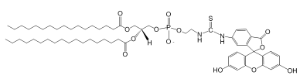 DSPE-Fluorescein/DSPE-FITC
