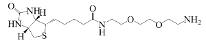 Biotin-PEG2-Amine
