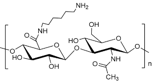 Hyaluronate Amine