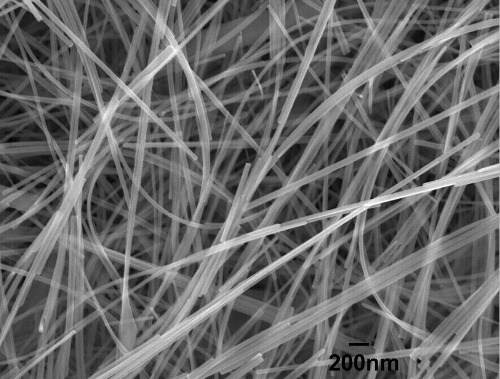 Zinc Oxide Nanowires (50nm×20µm)